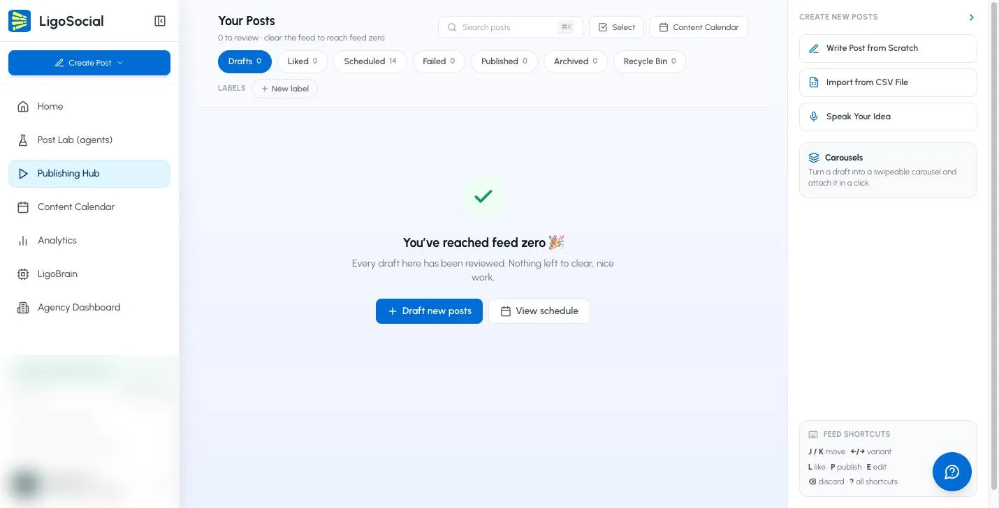 The Publishing Hub with the Your Posts header, status tabs, Labels row and the Create New Posts panel