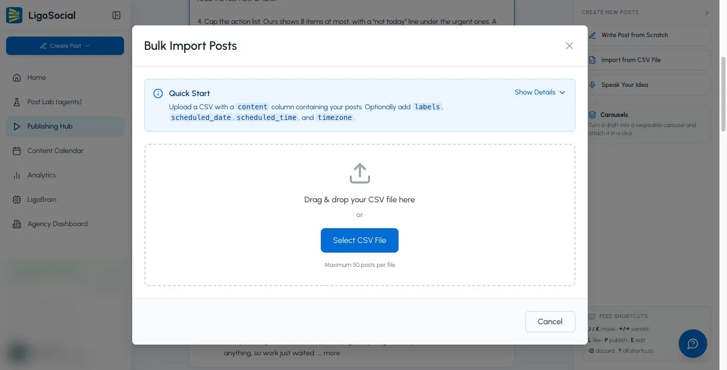 Bulk Import Posts dialog with the Quick Start box and the CSV drop zone