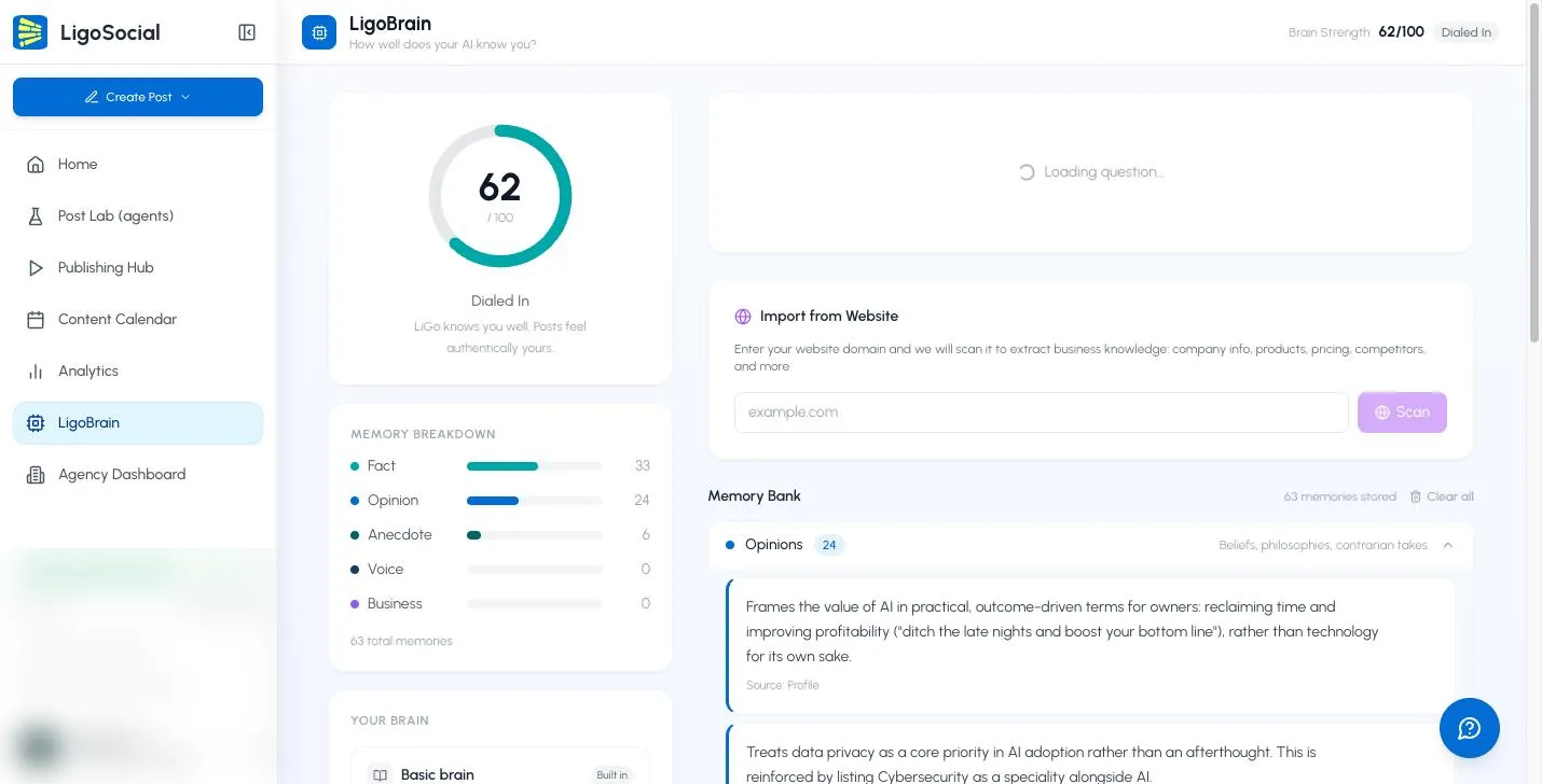 LigoBrain page with the Brain Strength score, Memory Breakdown, Import from Website and Memory Bank